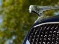 Peugeot Kühlerfigur