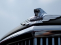 Jaguar Kühlerfigur