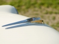 Opel Kühlerfigur