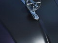 Buick Kühlerfigur