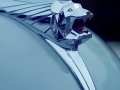 Peugeot Kühlerfigur