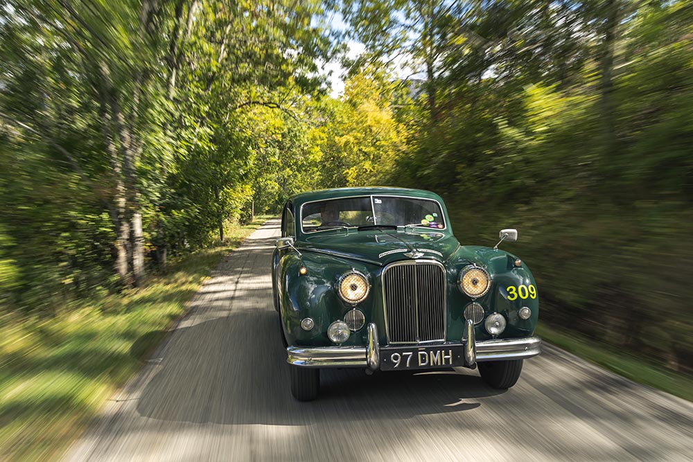 Ein Jaguar-Rennwagen sollte grün sein, vorzugsweise in "British Racing Green" lackiert, und schnell muss er sein.