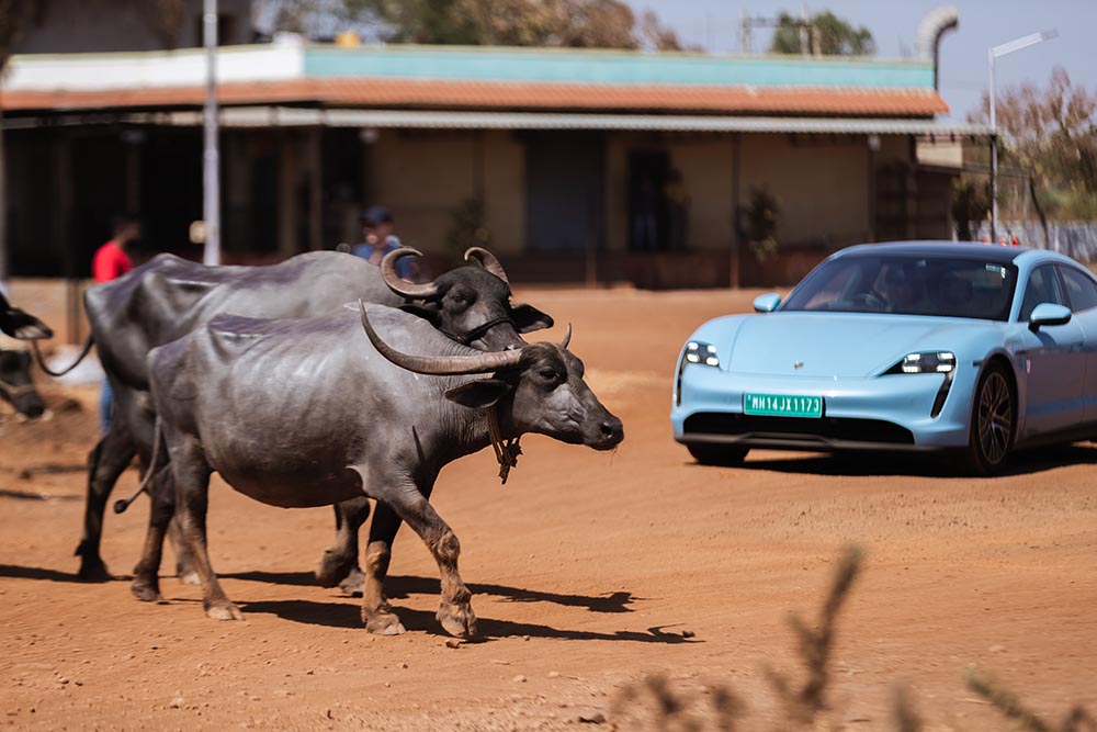 Kühe auf der Fahrbahn? Kein Problem, die sind heilig und jeder nimmt Rücksicht.