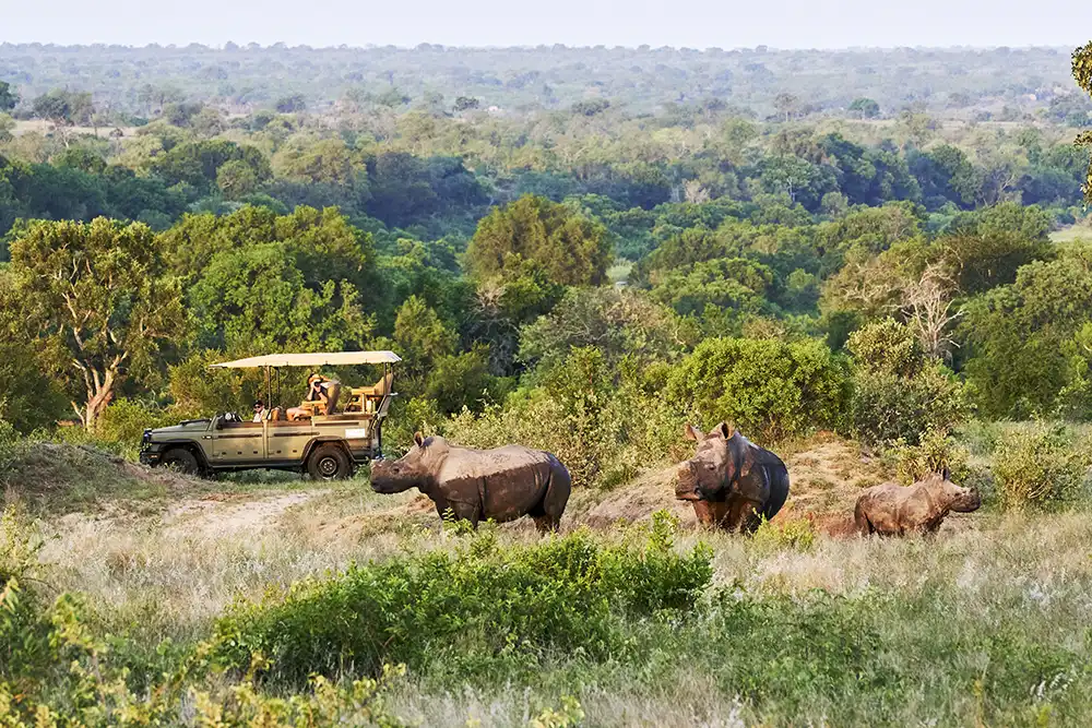 Dank einer rundum offenen Karosserie können Gäste aus dem Ineos Grenadier Safari ungehindet fotografieren.