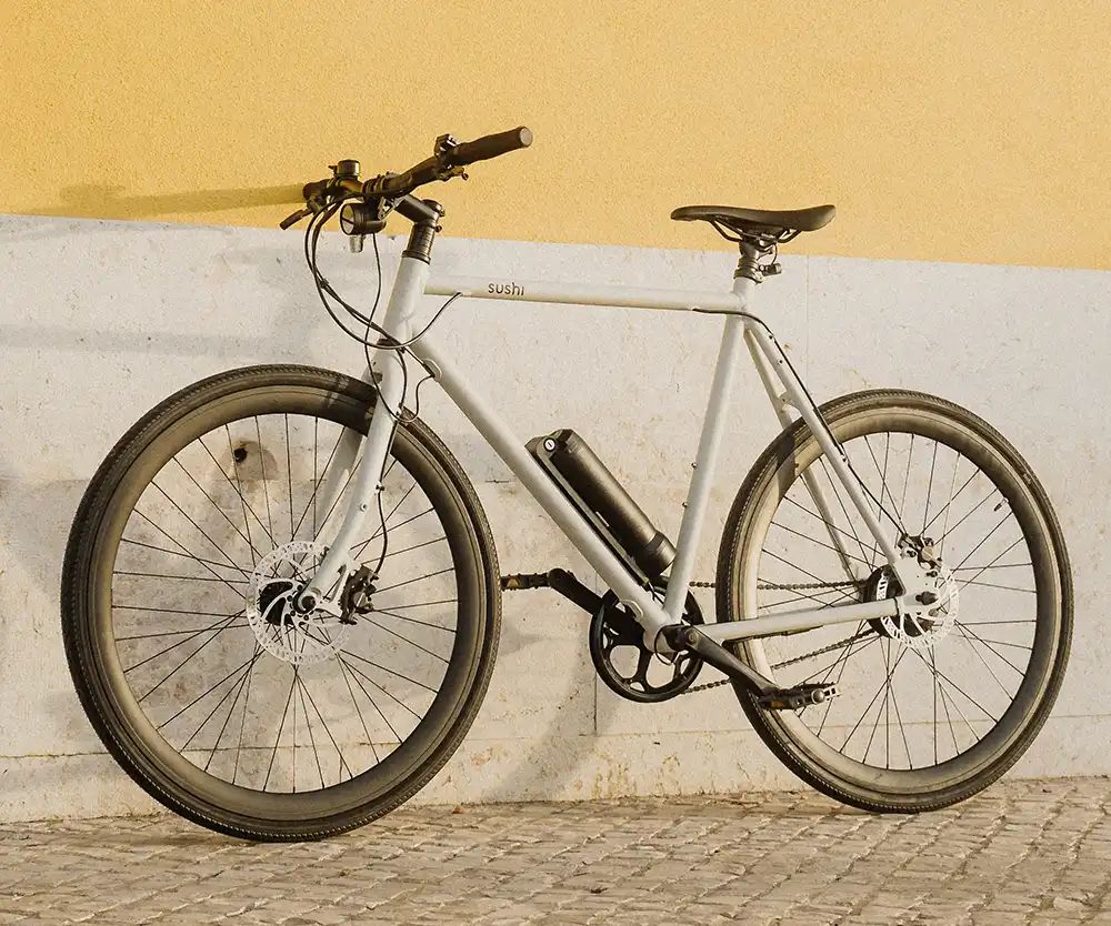 Eigentlich sieht das Maki 3.0 wie ein Bio-Bike mit großer Trinkflasche aus. Doch das zylindrische Objekt am Unterrohr transportiert Stromlinge statt Wasser.