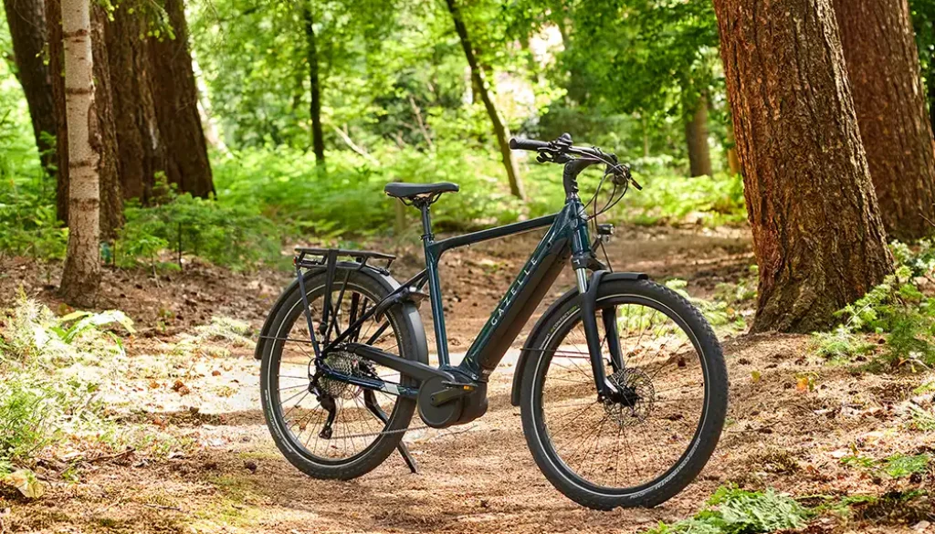 Ob Wald oder Großstadtdschungel: Das Medeo T10 HMB ist für beide Welten gut gerüstet. Foto: Gazelle