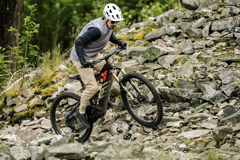 Wer hoch hinaus will, kann jetzt mit dem R.EX DJI-Antriebstechnik mit der Fahrradbaukunst von Rotwild kombinieren. Foto: Rotwild