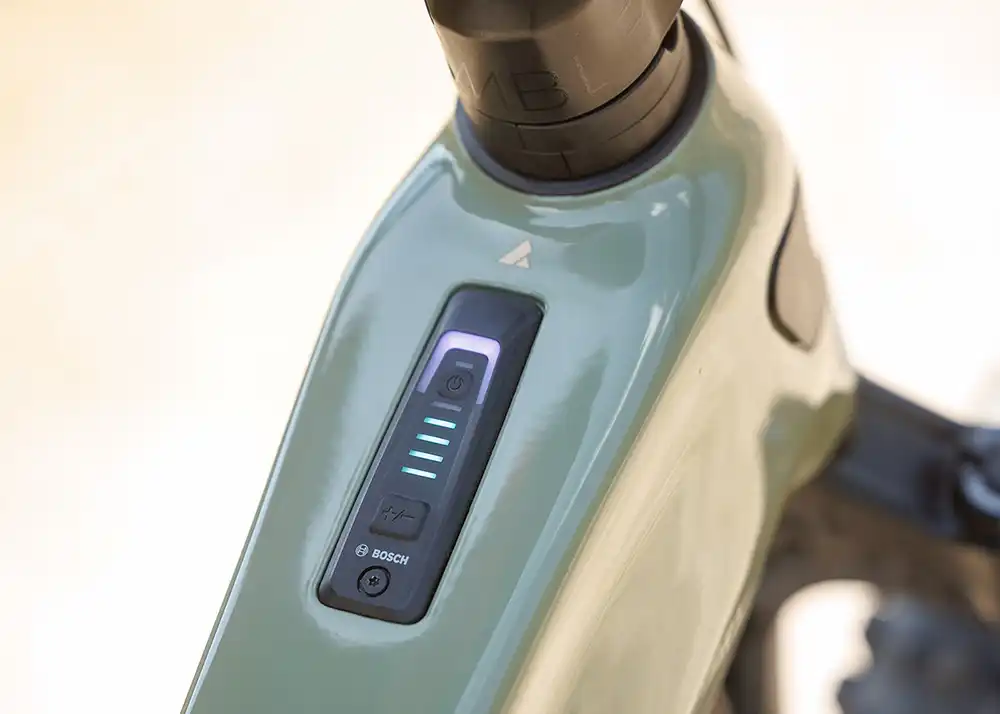 Als Anzeige- und Bedieneinheit setzt Bulls auf die geschützt im Oberrohr integrierte Mini-Remote. Foto: ZEG