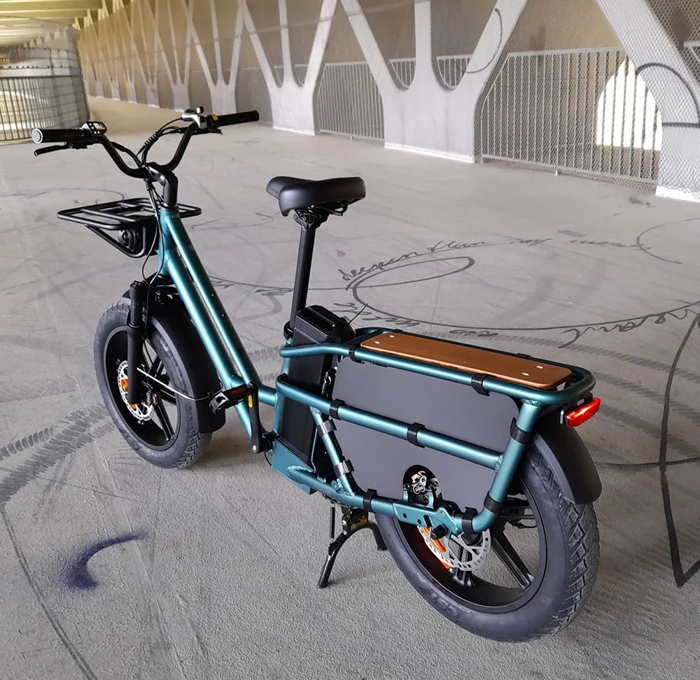 Stabil: Auf dem mit 80 Kilo belastbaren Gepäckträger finden auch zwei Kindersitze Platz. Foto: SP-X/Rudolf Huber