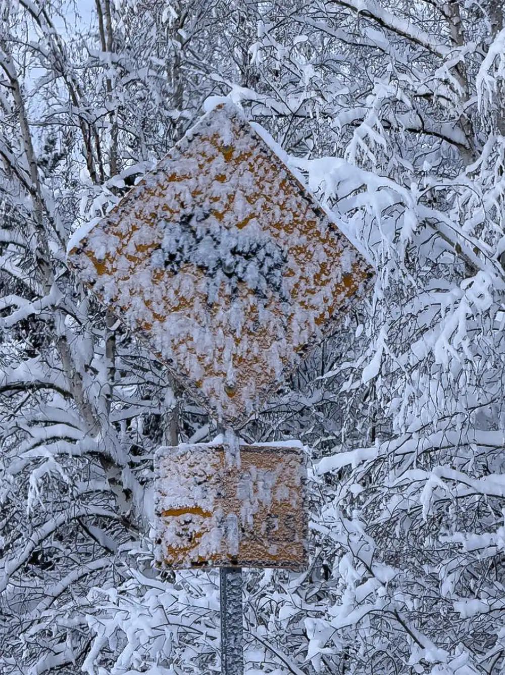 Gebaut wurde dieser Dalton Highway der 1970er-Jahre, nachdem die Amerikaner 1968 an der Beaufortsee das größte Ölfeld auf dem Kontinent entdeckt haben. Foto: Benjamin Bessinger/SP-X