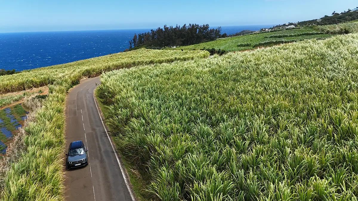 Luftaufnahme eines dunklen Fahrzeugs, das auf einer schmalen Asphaltstrasse mitten durch dichte, hellgrüne Zuckerrohrfelder an der Küste von La Réunion fährt.